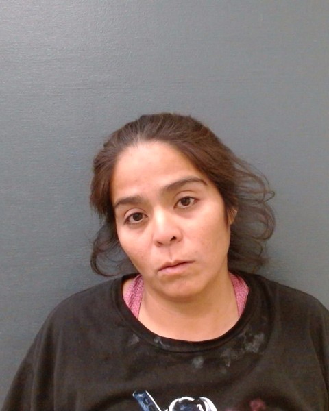 MCCLINCHIE, AMANDA MARIE booking photo