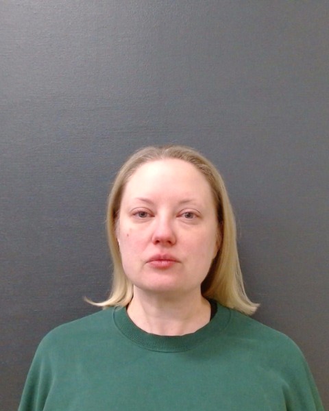 POE, JENNIE ERIN booking photo