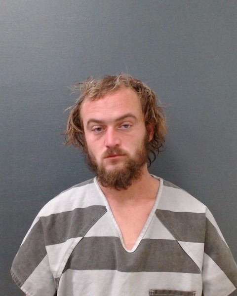 NICHOLSON, JOSHUA ROBERTS booking photo