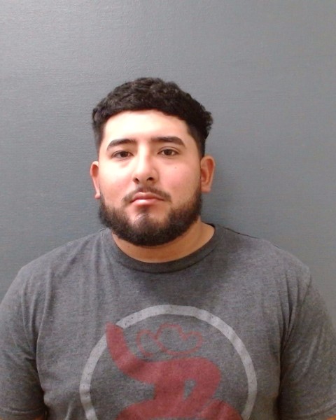 PEREGRINO, JOSE REINALDO booking photo