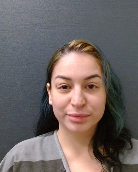 BEVANS, JAMIE LEE booking photo