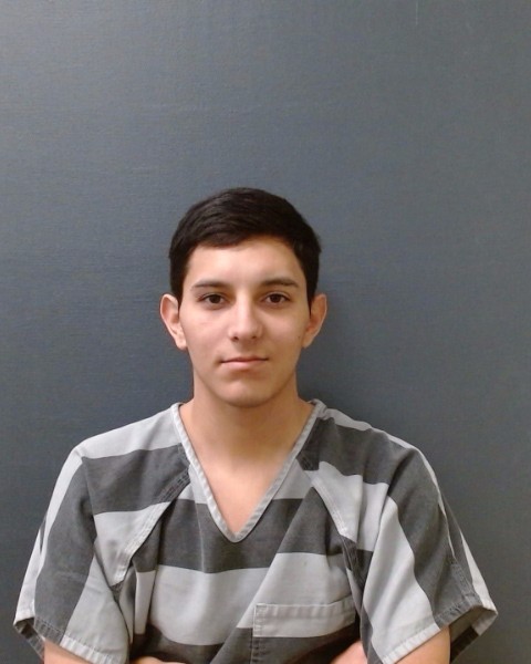 SANDOVAL, SAGE ALEXANDER booking photo