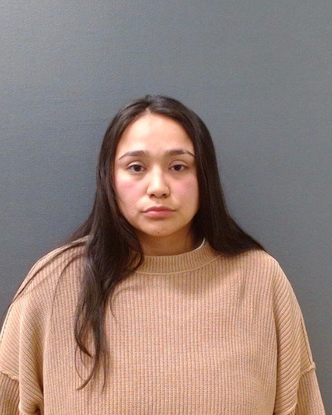 RODRIGUEZ, ALLYSON MCKENZIE booking photo