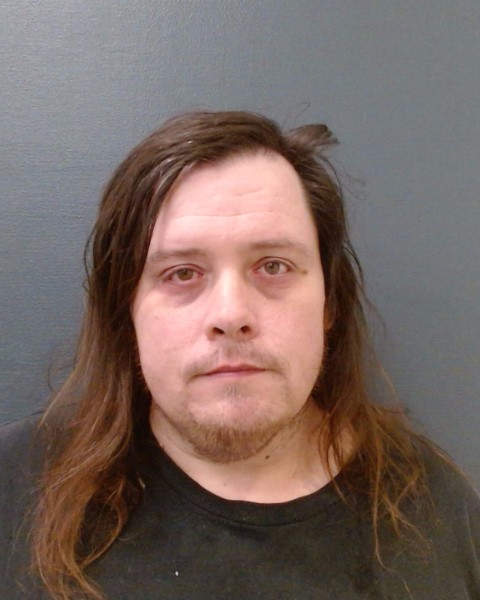 MADL, JAMES LEE booking photo