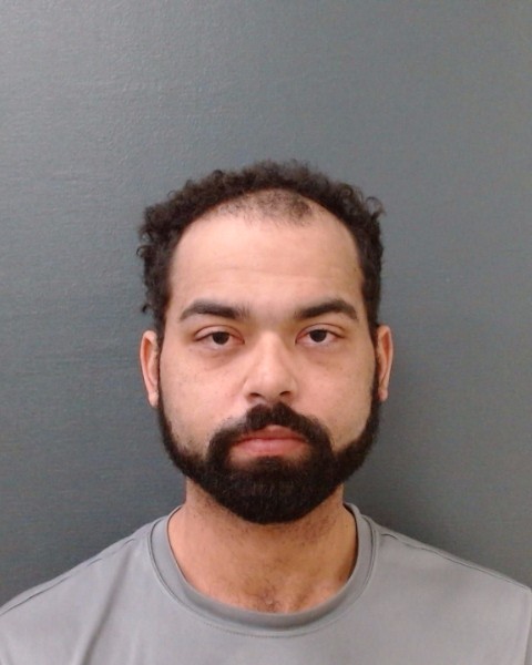 MULLINS-OHM, TAYLAN DEVAUGHN booking photo