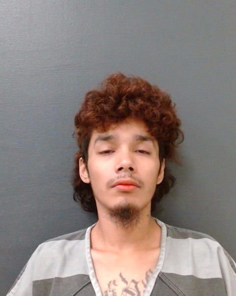 ROSALES, VINCENT AARON, Jr. booking photo