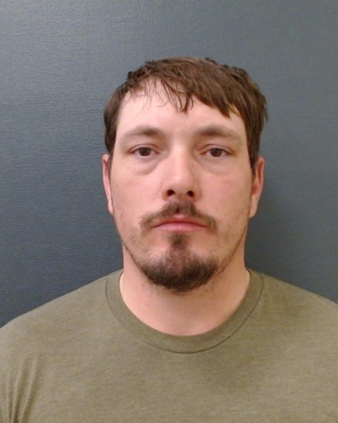 THOMASON, SEAN ADAM booking photo