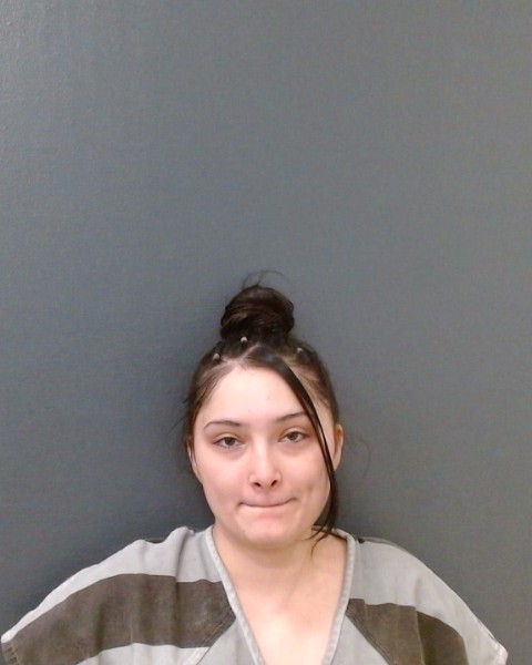 CEPEDA, LLUVIA MILAGROS GUADALUPE booking photo