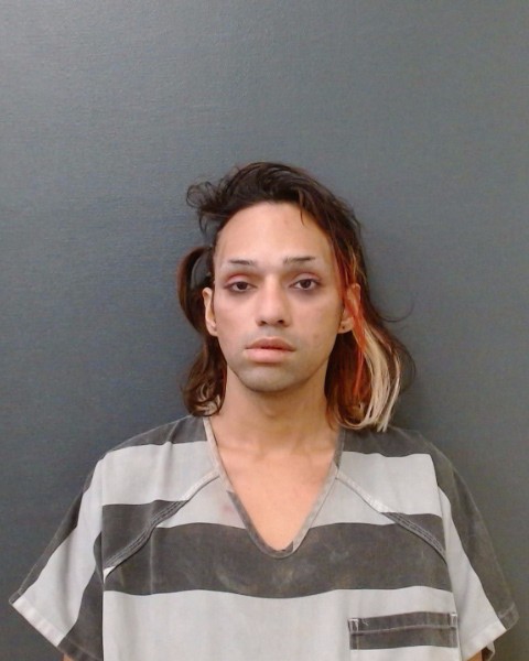 VASQUEZ, RONNY A booking photo