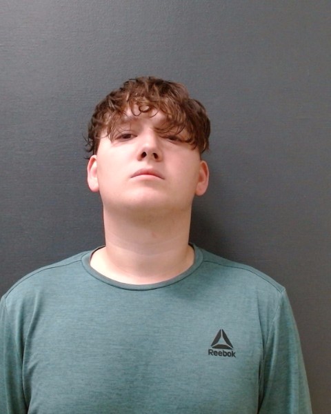 GILLAHAN, TEAG ALEXANDER booking photo