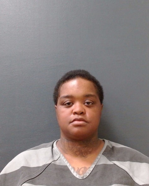 WILLIAMS, BRESHAWNA ANN booking photo