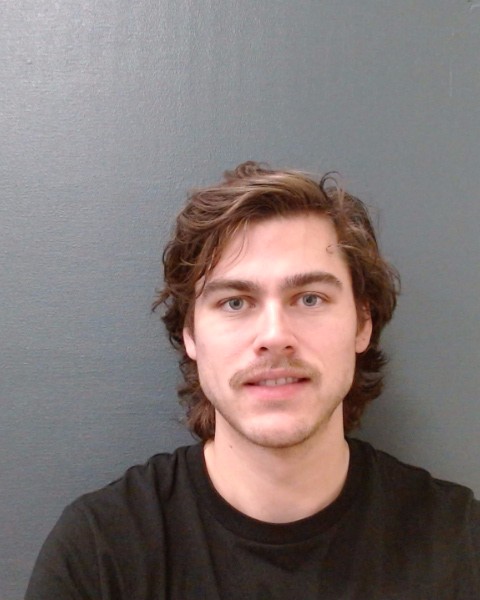 GIBBONS, BRENDAN MICHAEL IRELAND booking photo