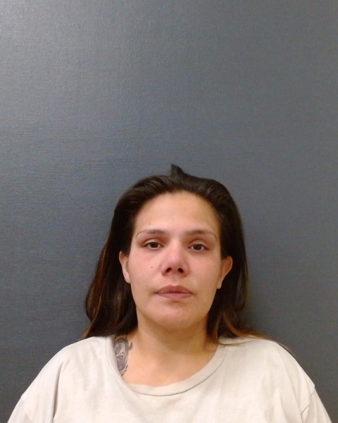 ARMENDARIZ, MARISSA NATALIA booking photo