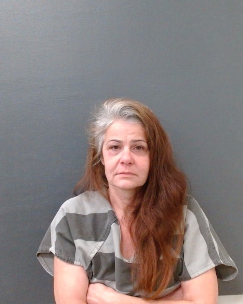 PINKERTON, NADIA SEBAH booking photo