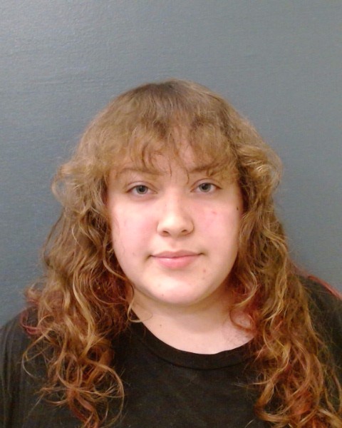 OUELLETTE, MELISSA ROSE booking photo
