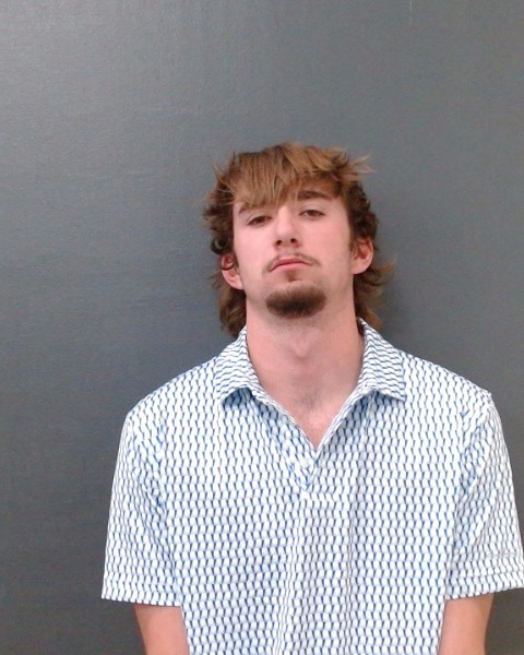 BRAUNE, RYAN JAMES booking photo
