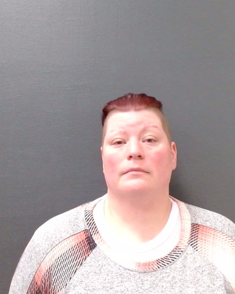 FILES, JENNIE LYNN booking photo