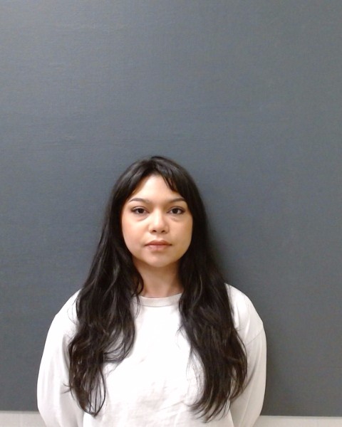 ARMENDARIZ, DANIELLE EVE booking photo