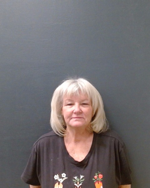 BALAJADIA, KELLY ANN booking photo