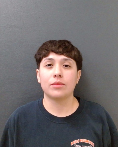 DIAZ GALICIA, ANA LAURA booking photo