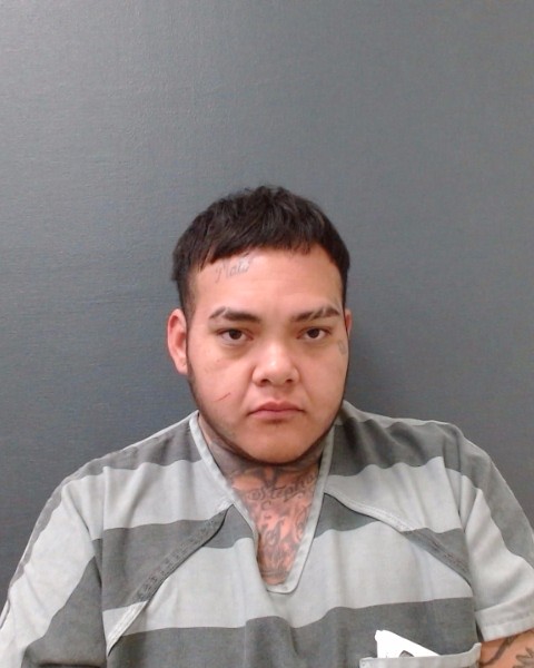 SALAZAR, ANAISA DANIELA booking photo