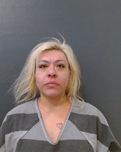 GUERRERO, MICHELLE RENEE booking photo