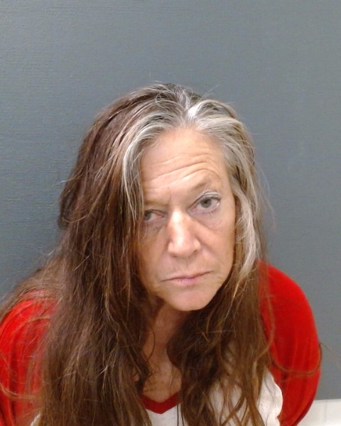ZIMMERMAN, LISA EVALYN booking photo