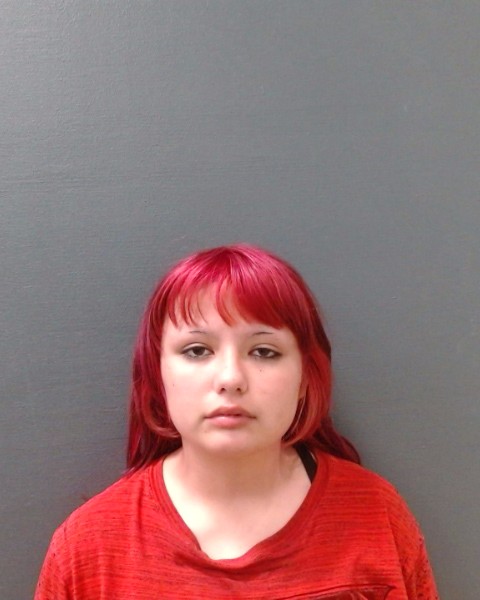 OZUNA, AMAYA MICHELLE booking photo