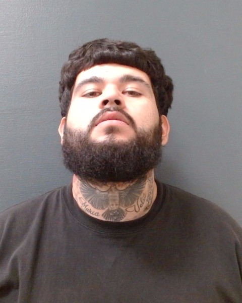 VELIZ, JULIO CESAR booking photo