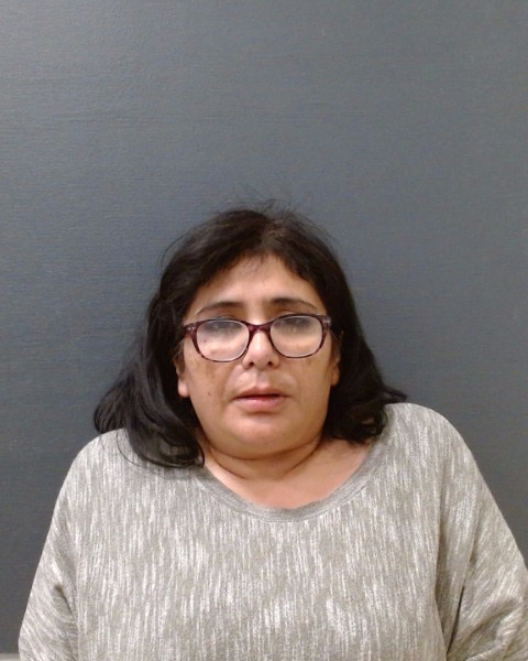 CASTILLO, CONNIE FRANCES booking photo