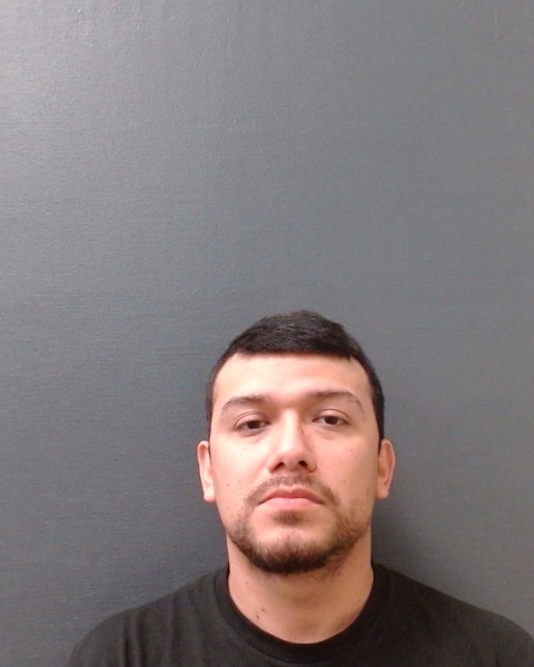 TOBIAS, BRYAN booking photo