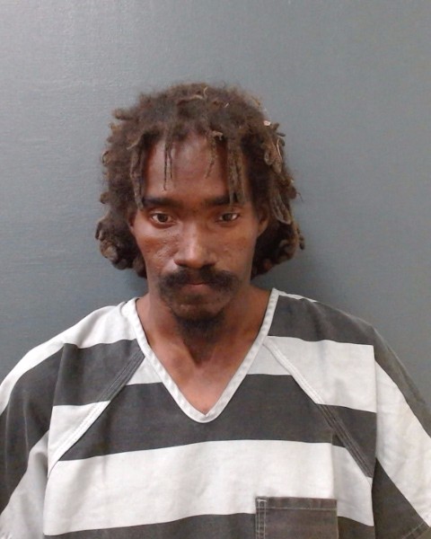 LOFTON, JERRY WAYNE booking photo