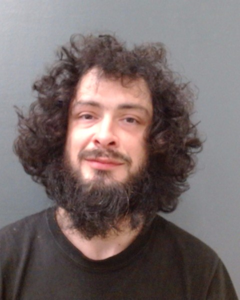 BRENNAN, DANIEL ALEXANDRE booking photo