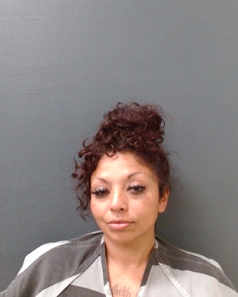 GONZALES, VANESSA MARIE booking photo