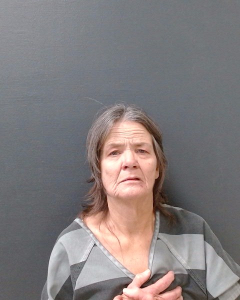MEEKS, SANDRA LEE booking photo