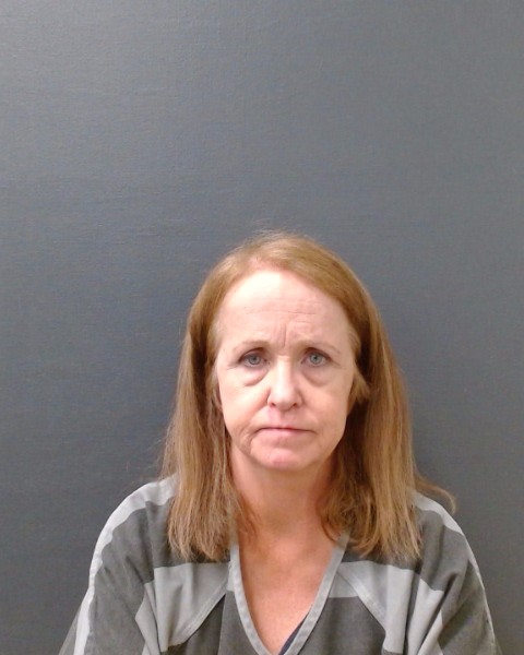SHEEHAN, CLARA JILL booking photo