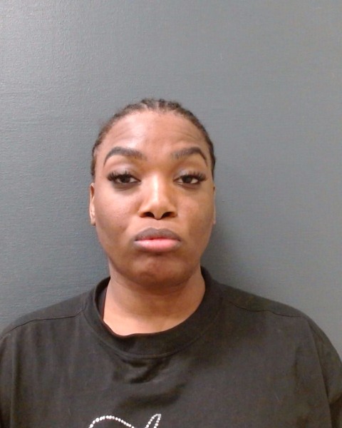 JOHNSON, TAKISHA MONIQUE booking photo