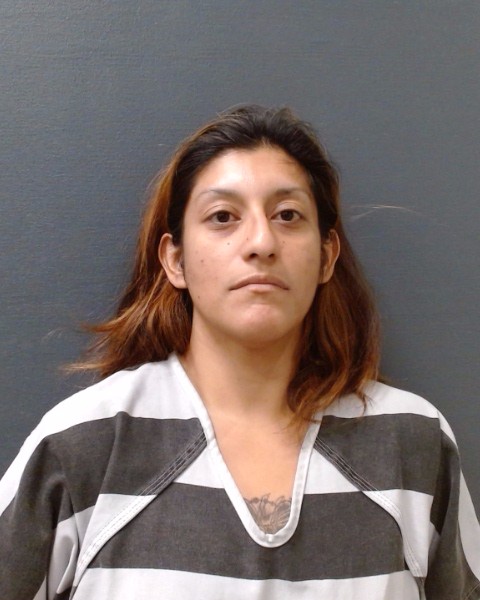 HERRERA, NOEMI booking photo