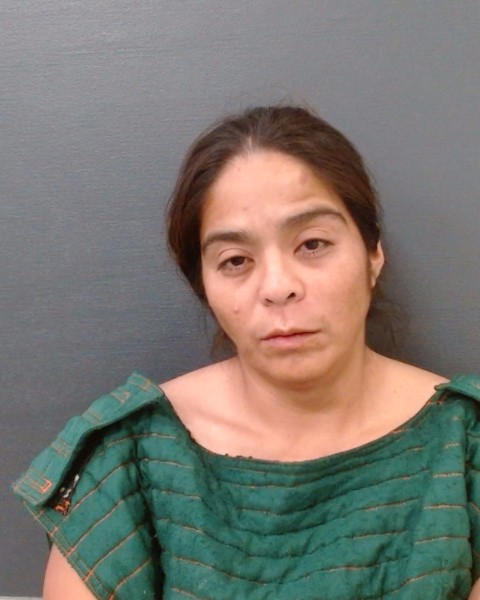 MCCLINCHIE, AMANDA MARIE booking photo