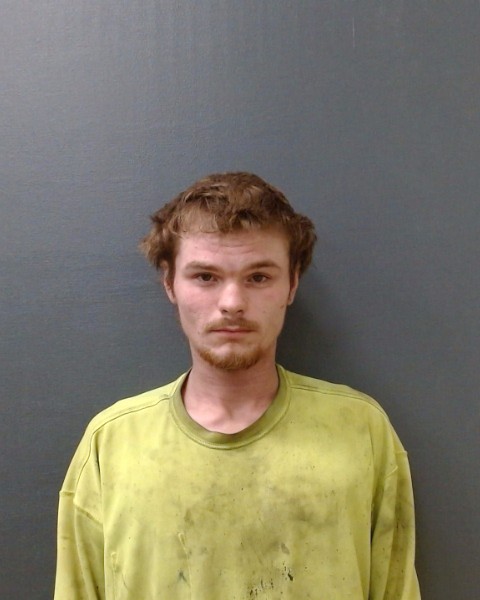 PFANTZ, MASON LANE booking photo