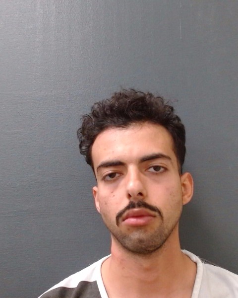 ADAM, DANIEL booking photo