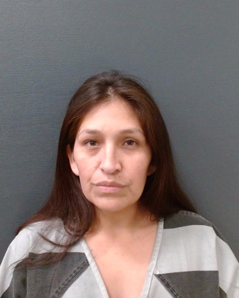 Kestler-Ybarra, Ruth booking photo