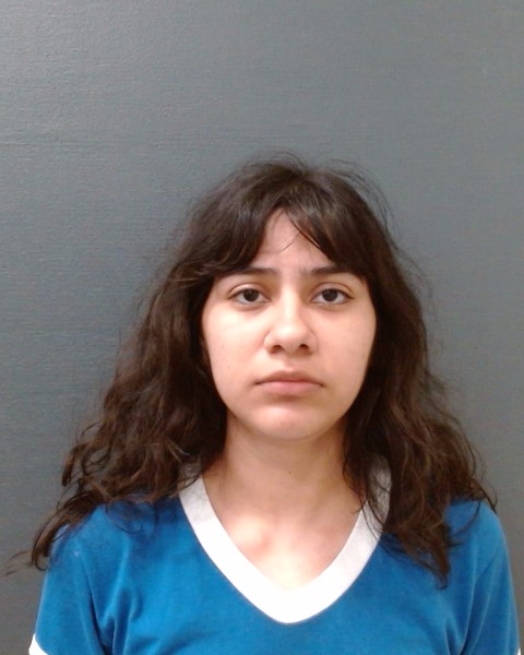 GAMBOA, DIANA ZURITA booking photo