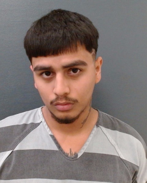 DE PAZ, HENRICK TEGAN booking photo