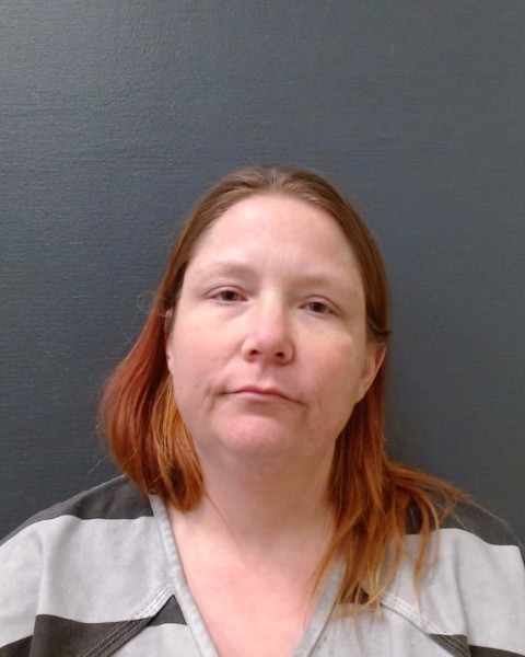 JOHNSON, JAMIE BRE'ANNE CAROLINE booking photo