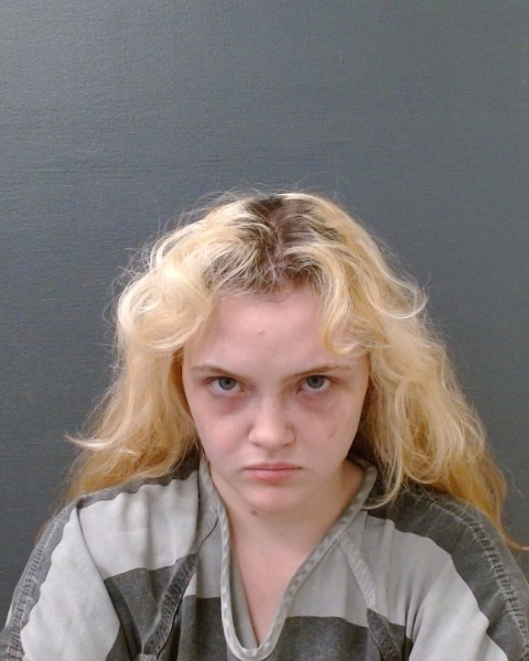 CLARK, KAITLYN NICOLE booking photo