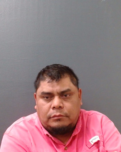 HERNANDEZ ROCHA, ANTONIO booking photo