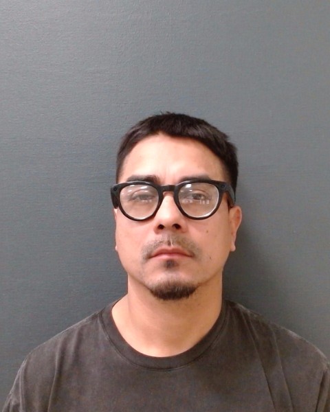 PINEDA, MARTIN booking photo