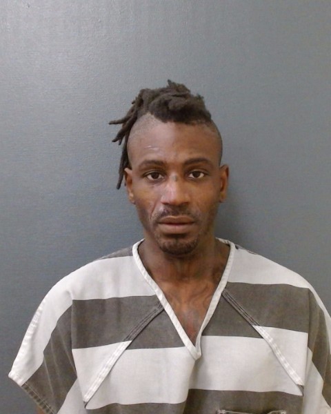 PURHAM, RICK DARNELLE, Jr. booking photo