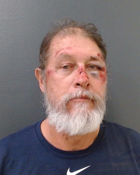 VALADEZ, GUSTAVO, Jr. booking photo